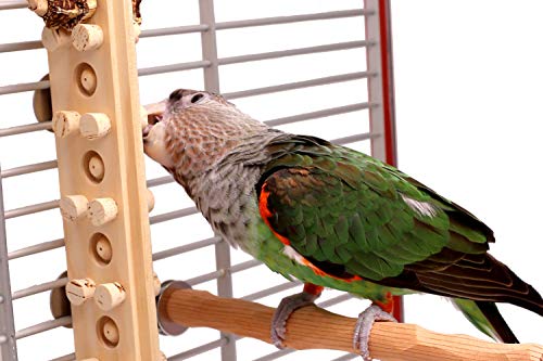 Woodberry - Medium Bolt-On Parrot Toy