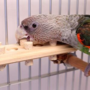 Woodberry - Medium Bolt-On Parrot Toy