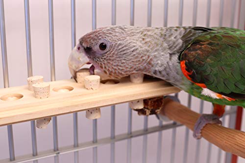 Woodberry - Medium Bolt-On Parrot Toy