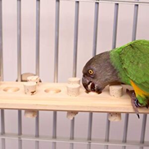 Woodberry - Medium Bolt-On Parrot Toy