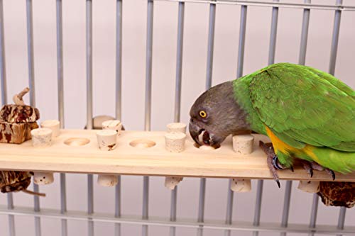 Woodberry - Medium Bolt-On Parrot Toy