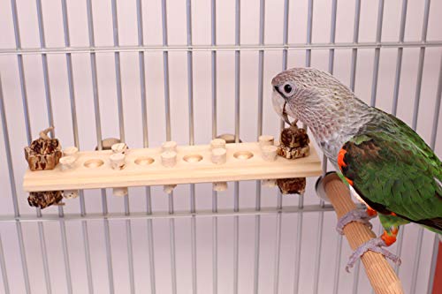 Woodberry - Medium Bolt-On Parrot Toy