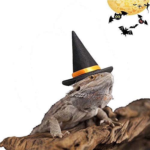 Lizard Clothes for Bearded Dragons, Halloween wizard Hat with Elastic Chin Strap Reptile Apparel Outfit Witch Cap Halloween Costume Party Cosplay Dress up Photo Props for Small Animals (Black)