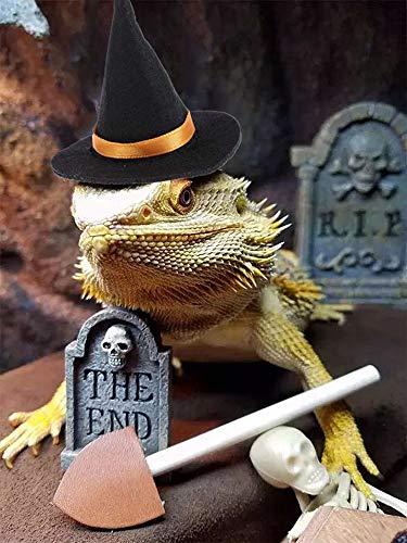 Lizard Clothes for Bearded Dragons, Halloween wizard Hat with Elastic Chin Strap Reptile Apparel Outfit Witch Cap Halloween Costume Party Cosplay Dress up Photo Props for Small Animals (Black)