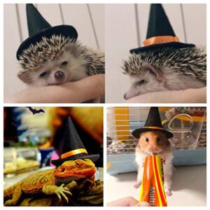 Lizard Clothes for Bearded Dragons, Halloween wizard Hat with Elastic Chin Strap Reptile Apparel Outfit Witch Cap Halloween Costume Party Cosplay Dress up Photo Props for Small Animals (Black)