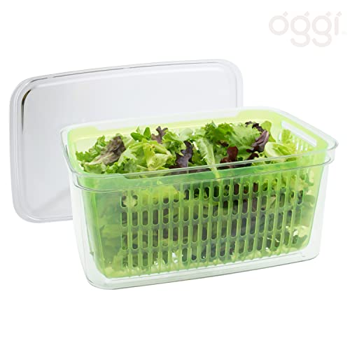 Oggi Store Fresh Food Storage Bin, 12.25" x 8" x 6", Clear