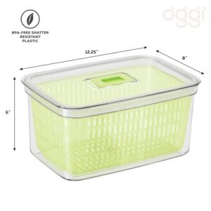 Oggi Store Fresh Food Storage Bin, 12.25" x 8" x 6", Clear