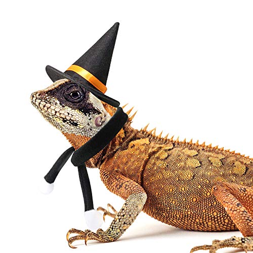 Rypet Bearded Dragon Halloween Costume - Lizard Wizard Hat with Scarf Halloween Costumes Set for Bearded Dragon Halloween Party