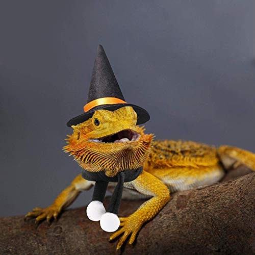 Rypet Bearded Dragon Halloween Costume - Lizard Wizard Hat with Scarf Halloween Costumes Set for Bearded Dragon Halloween Party