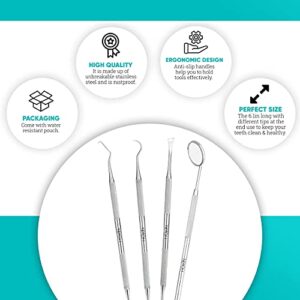 Dental Tools HOKIN Plaque Remover Teeth Cleaning Tool 4 Pcs Dental Care Kit Tooth Filling Repair Set Stainless Steel Dental Tools for Men Women Kids and Pet Care