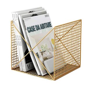 desktop magazine rack newspaper rack book shelf storage rack metal wire letter rack display stand support rack desk office 25x24x24cm mumujin (color : gold)