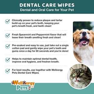 Wellnergy Pets Dental Wipes for Dogs and Cats - No Brush Formula; Improve Oral Hygiene and Health; Freshen Breath; Fresh Mint Flavor. 100 Wipes.