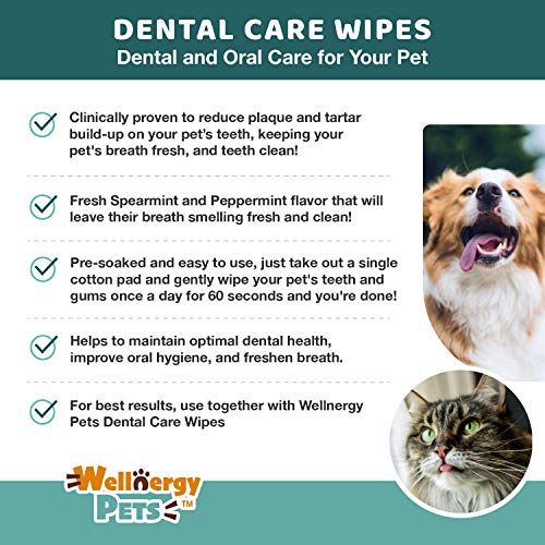 Wellnergy Pets Dental Wipes for Dogs and Cats - No Brush Formula; Improve Oral Hygiene and Health; Freshen Breath; Fresh Mint Flavor. 100 Wipes.