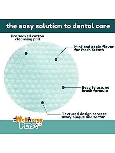 Wellnergy Pets Dental Wipes for Dogs and Cats - No Brush Formula; Improve Oral Hygiene and Health; Freshen Breath; Fresh Mint Flavor. 100 Wipes.