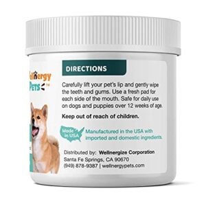 Wellnergy Pets Dental Wipes for Dogs and Cats - No Brush Formula; Improve Oral Hygiene and Health; Freshen Breath; Fresh Mint Flavor. 100 Wipes.