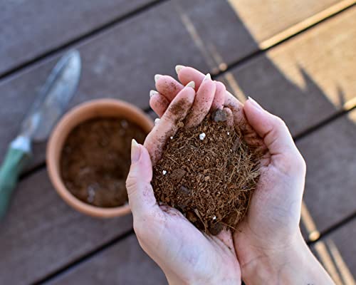 Planting Mix for Plant Propagation, Hand Blended Soilless Mix for Propagating Plants, House Plants, and More-4qt