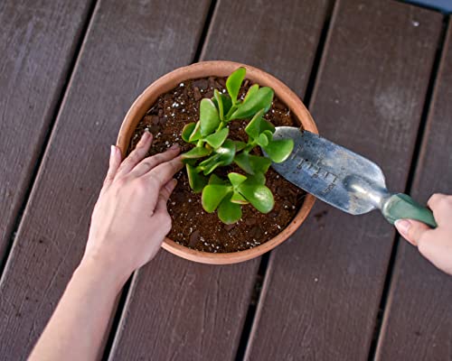 Planting Mix for Plant Propagation, Hand Blended Soilless Mix for Propagating Plants, House Plants, and More-4qt