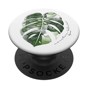window leaf monstera variegata plant leaf cute popsockets swappable popgrip
