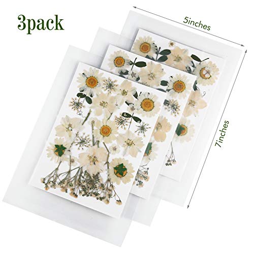 Nuanchu 81 Pcs White Dried Flowers Dried Pressed Flowers Leaves Natural Pressed Flowers White Pressed Flowers Larkspur Gypsophila for Resin Jewelry Scrapbooking Art Floral Decorations (White)