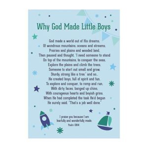 faithworks lgp-why god made little boys (pack of 3)