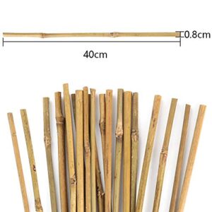 Pllieay 20PC 1.33'/16 Inch Natural Thick Bamboo Stakes Garden Stakes Bamboo Sticks Plant Stakes for Outdoor Plants and Indoor Plants, Potted Plants Tomato Plant Support