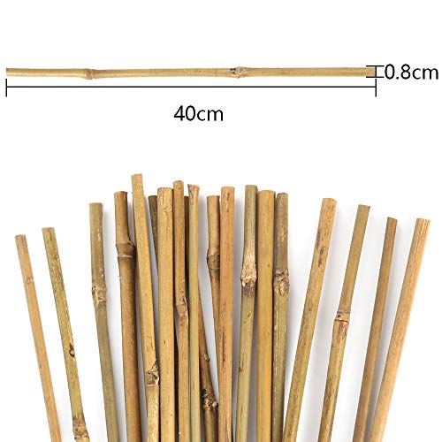 Pllieay 20PC 1.33'/16 Inch Natural Thick Bamboo Stakes Garden Stakes Bamboo Sticks Plant Stakes for Outdoor Plants and Indoor Plants, Potted Plants Tomato Plant Support