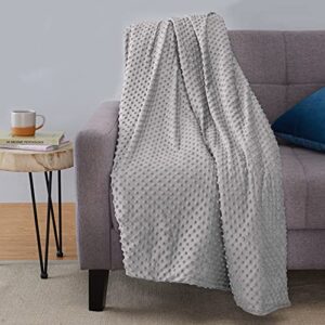 amazon basics weighted blanket with minky duvet cover - 12 pound, 48 x 72-inch, dark grey/grey