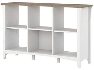 bush furniture salinas 6 cube organizer, pure white and shiplap gray