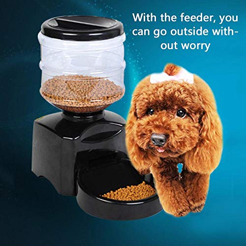 ZZK 5.5L Automatic Pet Feeder, Intelligent Automatic Feeder with Voice Message Recording and LCD Display, Large Intelligent Dog and Cat Food Bowl Dispenser,A