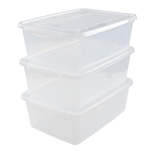 Neadas 16 L Clear Plastic Storage Bin with Lid, 6 Packs