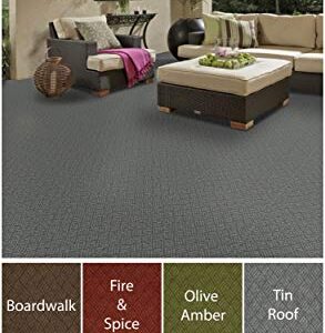 KOECKRITZ Dreamweaver Indoor - Outdoor Area Rugs, Runners, and Doormats Constructed from 100% HI UV Polypropylene (8' x 10', Tin Roof)