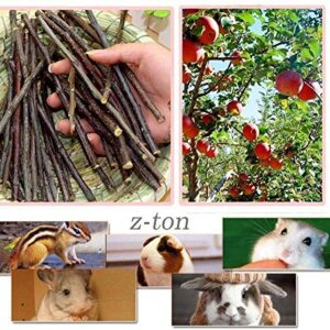 Z-TON Apple Sticks Pet Chew Toys for Chinchillas Guinea Pigs Rabbits Small Animals (100g)