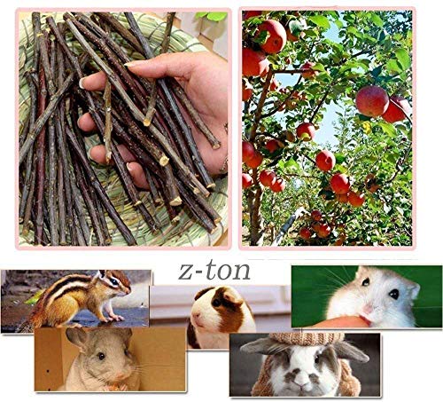 Z-TON Apple Sticks Pet Chew Toys for Chinchillas Guinea Pigs Rabbits Small Animals (100g)