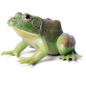 gemini & genius tree frog realistic hand painted toy bullfrog figurine model quality construction soft rubber animals educational and role play toys for ages 3 and up kids