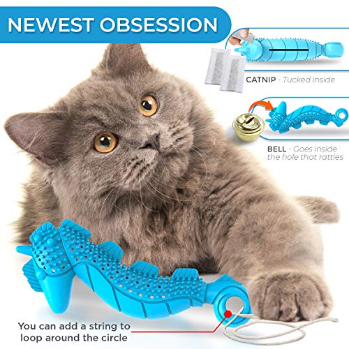 Ronton Cat Toothbrush Catnip Toy - Durable Hard Rubber - Cat Dental Care, Cat Interactive Toothbrush Chew Toy (1Pack-Seahorse)