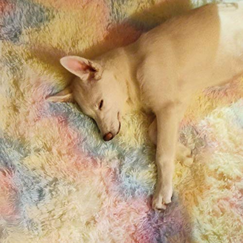 5X8 Feet Rainbow Carpet for Living Room Soft Luxury Bedroom Large Fluffy Plush Area Rug Christmas Thanksgiving Shaggy Big Comfy Rug