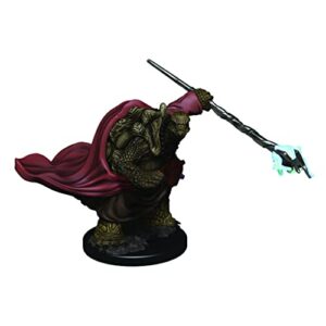 d&d icons of the realms premium figures: male tortle monk