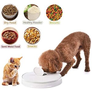 ZZK Pet Bowl pet Supplies six Grid Dog/cat pet Feeder timed Reminder Voice Dry and Wet Food LCD programmable Automatic Dispenser,B