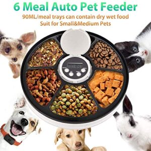 ZZK Pet Bowl pet Supplies six Grid Dog/cat pet Feeder timed Reminder Voice Dry and Wet Food LCD programmable Automatic Dispenser,B