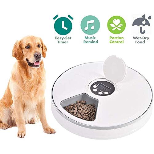 ZZK Pet Bowl pet Supplies six Grid Dog/cat pet Feeder timed Reminder Voice Dry and Wet Food LCD programmable Automatic Dispenser,B