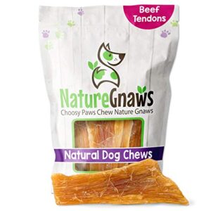 nature gnaws paddywack tendons for dogs - premium natural beef dental bones - long lasting dog chew treats for medium & large dogs - rawhide free