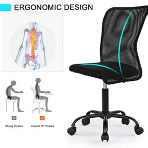 Office Chair Desk Chair Computer Chair with Lumbar Support Ergonomic Mid Back Mesh Adjustable Height Swivel Chair Armless Modern Task Executive Chair for Women Men Adult, Black