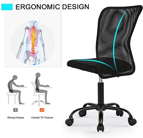 Office Chair Desk Chair Computer Chair with Lumbar Support Ergonomic Mid Back Mesh Adjustable Height Swivel Chair Armless Modern Task Executive Chair for Women Men Adult, Black