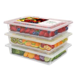 silivo produce saver containers for refrigerator (3 pack) - 2.5l fruit storage containers for fridge, vegetable storage containers with drain tray keep fresh for veggie, fruit, lettuce and salad