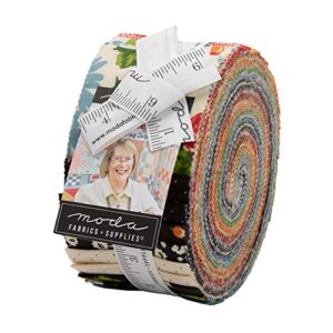 it's elementary moda jelly roll by american jane, 40 2.5-inch x 44-inch precut fabric strips