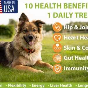 Googipet 10 in 1 Dog Multivitamin with Dog Probiotics for Gut Health, Dog Vitamins and Supplements with MSM & Glucosamine for Dogs Hip & Joint Support - Chondroitin & Omega 3 Fish Oil for Skin & Coat