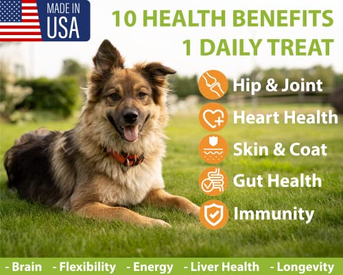 Googipet 10 in 1 Dog Multivitamin with Dog Probiotics for Gut Health, Dog Vitamins and Supplements with MSM & Glucosamine for Dogs Hip & Joint Support - Chondroitin & Omega 3 Fish Oil for Skin & Coat