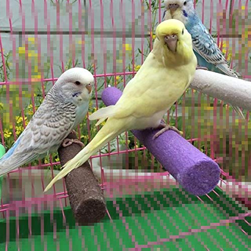 ZYYRT Parrot Perch Stand 9PCS Wooden Bird Paw Grinding Stick Perch Stand Platform Parakeet Cage Accessories Exercise Toy for Budgies Conure Cockatiel