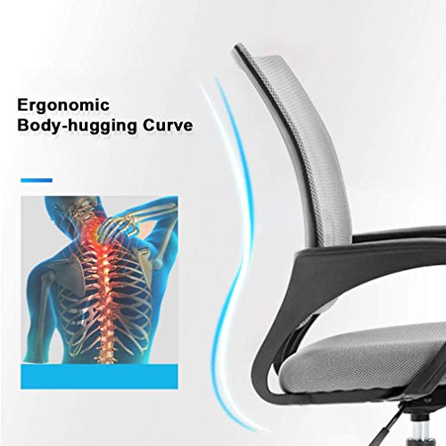 Payhere Executive Task Ergonomic Desk Home Computer Gaming Office Chair Mesh Working Chair with Mid-Back Lumbar Support Armrest Modern Adjustable Swivel Rolling Desk Chair for Women Men, Grey