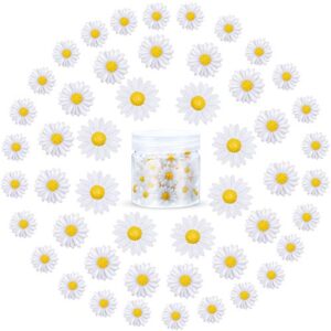 hicarer 50 pieces flatback resin daisy flowers daisy flower epoxy charms mini decorated daisies artificial with storage box for diy craft cloth pen box home decoration, 3 sizes (white and yellow)